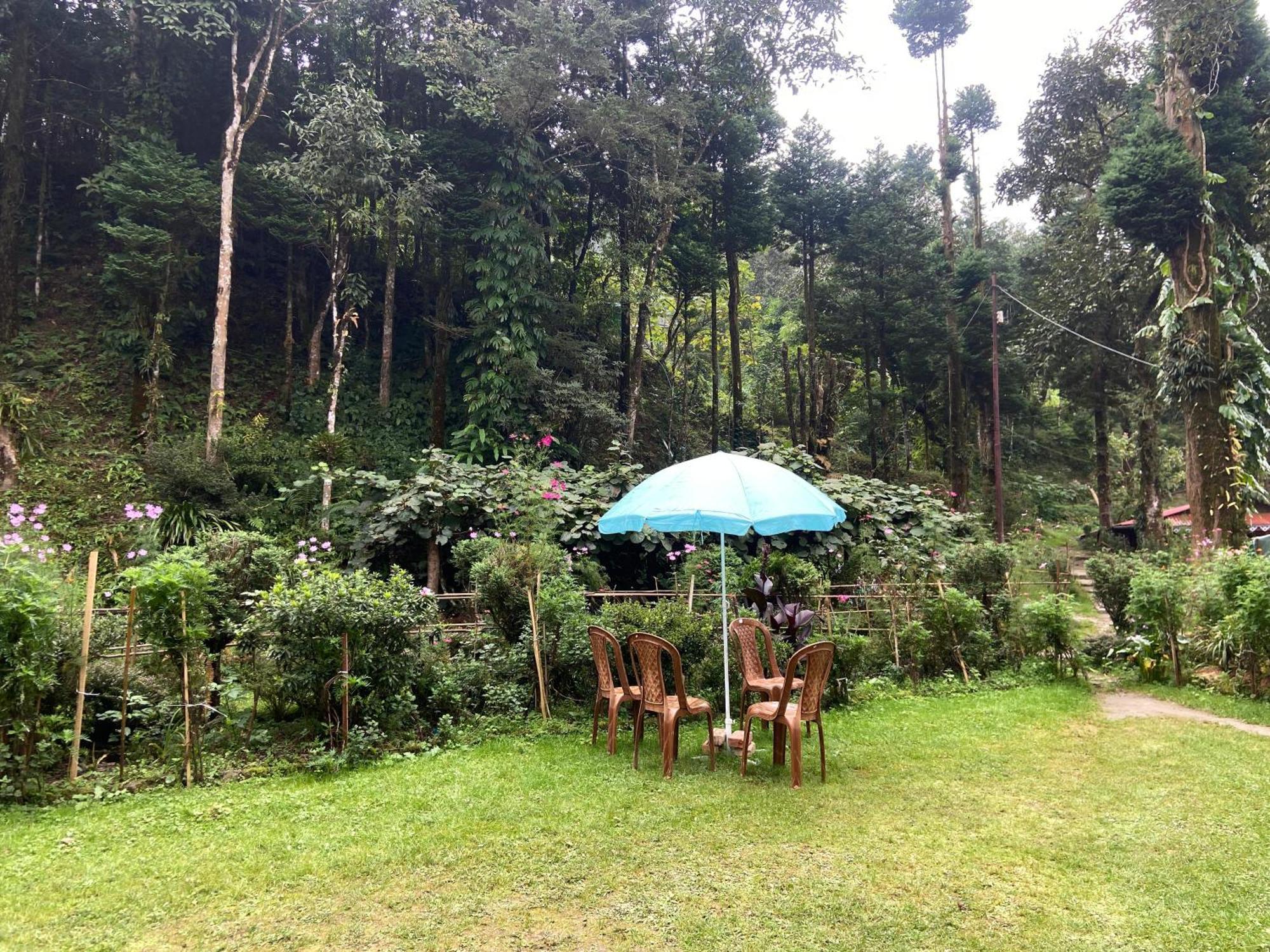 Magnolia Farmhouse And Homestay Darjeeling  Eksteriør bilde